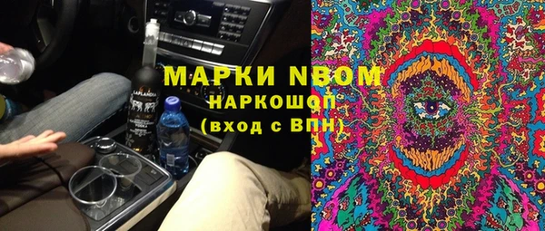 стаф Алексин