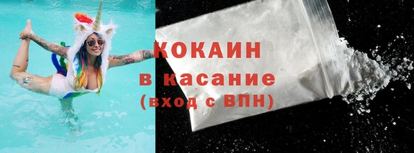 индика Армянск