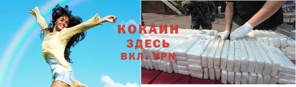 индика Армянск