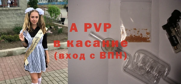 индика Армянск