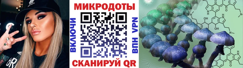 Галлюциногенные грибы мицелий  Рыбинск 